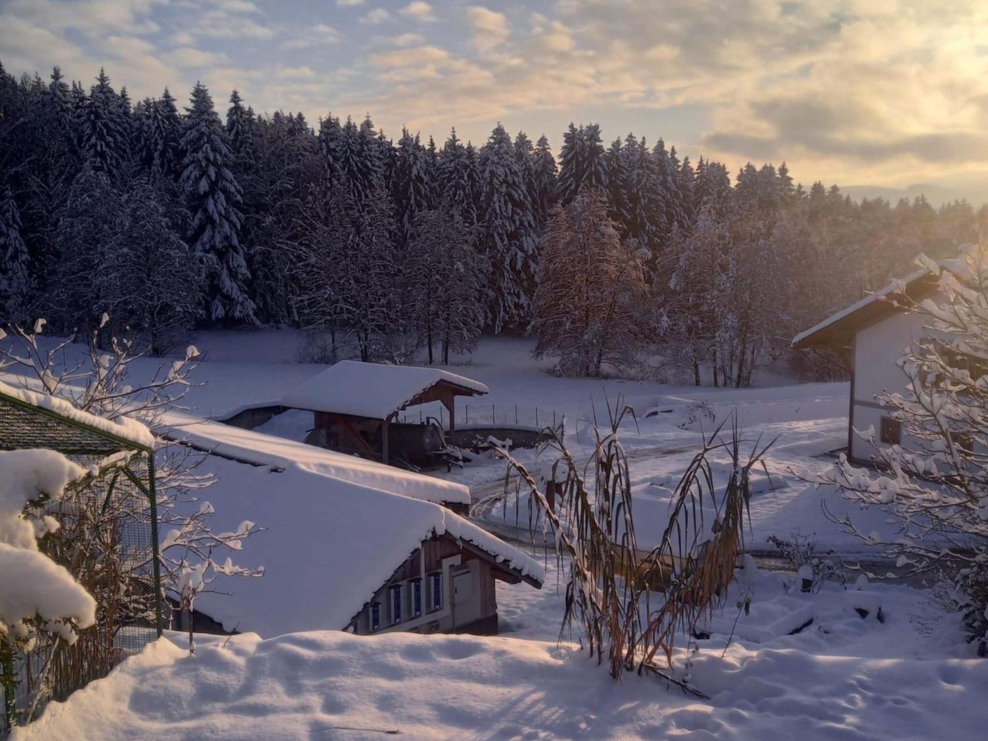 Ferienwohnung Im Bayerischen Wald Mit Terrasse Viechtach Exterior foto